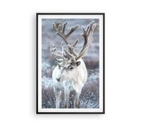 Affiche Poster 61x91cm Tableaux Image Photo Blanc Renne Scandinave Wall Art