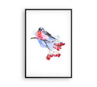 Affiche Poster 61x91cm Tableaux Image Photo Bouvreuil On Branche Wall Art