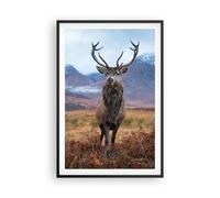 Affiche Poster 61x91cm Tableaux Image Photo Cerf Cerf Ecosse Wall Art Decoration