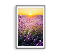 Affiche Poster 61x91cm Tableaux Image Photo Champ Lavande Soleil Wall Art
