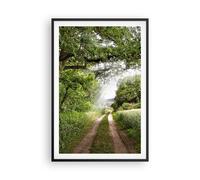 Affiche Poster 61x91cm Tableaux Image Photo Chemin nature forêt vert Wall Art