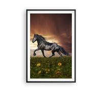 Affiche Poster 61x91cm Tableaux Image Photo Cheval animal Meadow Wall Art