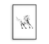 Affiche Poster 61x91cm Tableaux Image Photo Cheval Galop Des Animaux Wall Art