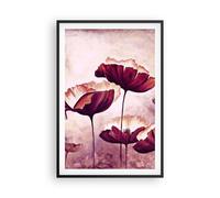 Affiche Poster 61x91cm Tableaux Image Photo coquelicot fleur prairie Wall Art