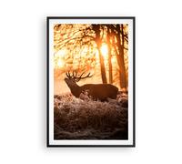 Affiche Poster 61x91cm Tableaux Image Photo Deer bruyère animaux Wall Art