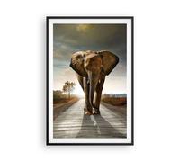 Affiche Poster 61x91cm Tableaux Image Photo Elephant Route Campagne Wall Art