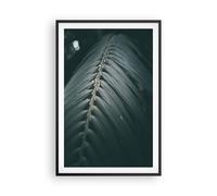 Affiche Poster 61x91cm Tableaux Image Photo Feuille Palmier Exotique Wall Art