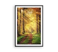 Affiche Poster 61x91cm Tableaux Image Photo forêt arbre nature Wall Art