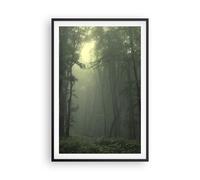Affiche Poster 61x91cm Tableaux Image Photo forêt brouillard arbre Wall Art
