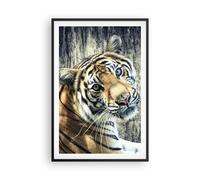 Affiche Poster 61x91cm Tableaux Image Photo Inde pierre tigre sauvage Wall Art