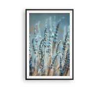 Affiche Poster 61x91cm Tableaux Image Photo Lavande Lame Fleur Wall Art
