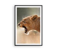 Affiche Poster 61x91cm Tableaux Image Photo Lion Lionne Crocs Wall Art