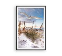 Affiche Poster 61x91cm Tableaux Image Photo Mouette Mer Côte Wall Art Decoration