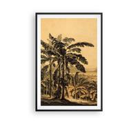 Affiche Poster 61x91cm Tableaux Image Photo Palmiers Forest Des Pluies Wall Art