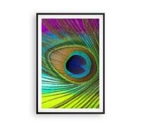Affiche Poster 61x91cm Tableaux Image Photo Paons Plume Arc En Ciel Wall Art