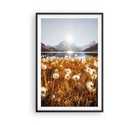 Affiche Poster 61x91cm Tableaux Image Photo Pissenlits Soleil Champ Wall Art
