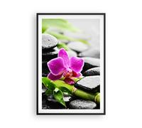 Affiche Poster 61x91cm Tableaux Image Photo Plante pierres bambous spa Wall Art