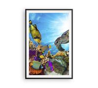 Affiche Poster 61x91cm Tableaux Image Photo récif corail poisson Wall Art