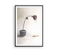 Affiche Poster 61x91cm Tableaux Image Photo Symbole Rose Souffrance Wall Art