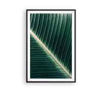 Affiche Poster 61x91cm Tableaux Image Photo Vert Feuille Tropical Wall Art