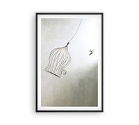 Affiche Poster 61x91cm Tableaux Image Photo Vol Oiseau Cage Wall Art Decoration