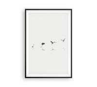 Affiche Poster 61x91cm Tableaux Image Photo Vol Oiseau Héron Wall Art Decoration