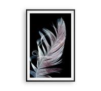Affiche Poster 61x91cm Tableaux Image Plume Les Couleurs La Délicatesse Wall Art