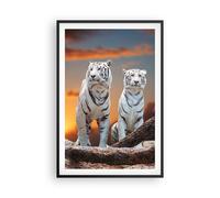 Affiche Poster 61x91cm Tableaux Image Tigres blanc roche coucher de soleil Art
