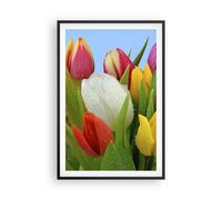 Affiche Poster 61x91cm Tableaux Image Tulipes Bouquet fleurs rosée Wall Art