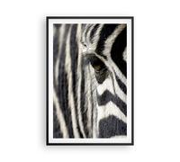 Affiche Poster 61x91cm Tableaux Image Zebra rayures vie sauvage safari Wall Art