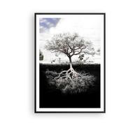 Affiche Poster 70x100cm Tableaux Image Arbre Les Racines Réflexion Wall Art