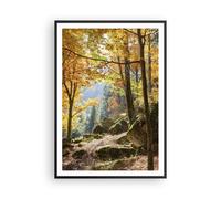 Affiche Poster 70x100cm Tableaux Image Automne montagne forêt nature Wall Art