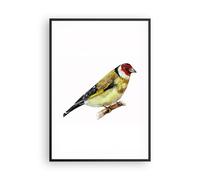 Affiche Poster 70x100cm Tableaux Image Chardonneret Oiseau Aquarelle Wall Art