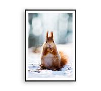 Affiche Poster 70x100cm Tableaux Image Écureuil hiver neige nourriture Wall Art