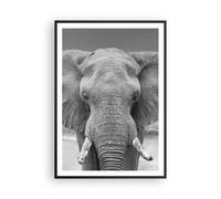 Affiche Poster 70x100cm Tableaux Image Éléphant Afrique Des Animaux Wall Art