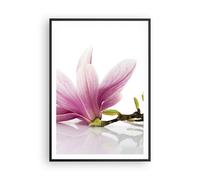Affiche Poster 70x100cm Tableaux Image Magnolia fleur nature plante Wall Art