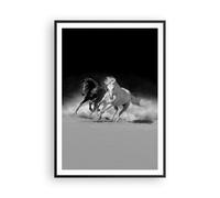 Affiche Poster 70x100cm Tableaux Image Photo Andalouse Chevaux Galop Wall Art