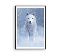 Affiche Poster 70x100cm Tableaux Image Photo Blanc Loup Neige Wall Art
