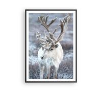 Affiche Poster 70x100cm Tableaux Image Photo Blanc Renne Scandinave Wall Art