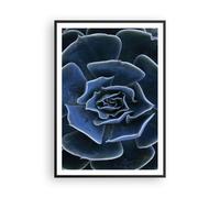 Affiche Poster 70x100cm Tableaux Image Photo Bleu Cactus Fleur Wall Art