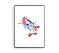 Affiche Poster 70x100cm Tableaux Image Photo Bouvreuil On Branche Wall Art