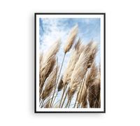 Affiche Poster 70x100cm Tableaux Image Photo Canne Ciel Boho Wall Art Decoration