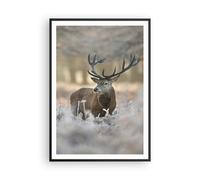 Affiche Poster 70x100cm Tableaux Image Photo cerf forêt nature Wall Art