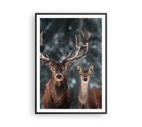 Affiche Poster 70x100cm Tableaux Image Photo Cerf renne chevreuil Wall Art