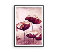 Affiche Poster 70x100cm Tableaux Image Photo coquelicot fleur prairie Wall Art