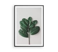 Affiche Poster 70x100cm Tableaux Image Photo Feuilles Plantes Botanique Wall Art