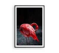 Affiche Poster 70x100cm Tableaux Image Photo Flamant Rose Rose Oiseau Wall Art