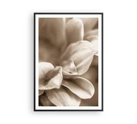 Affiche Poster 70x100cm Tableaux Image Photo Fleurs Boho Sans Wall Art