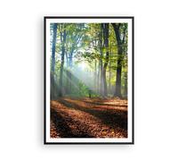 Affiche Poster 70x100cm Tableaux Image Photo Forêt Feuilles Soleil Wall Art