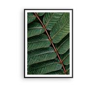 Affiche Poster 70x100cm Tableaux Image Photo Gouttes Eau Feuilles Wall Art